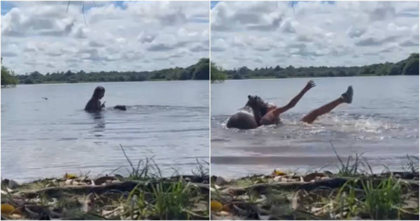 近日在南美國家哥倫比亞，發生一起女子在湖中游泳卻遭到水豚逼近攻擊的事件。（圖／翻攝Tiktok／carecleaningservicessyd）