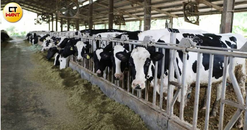 蔣萬安表示，臺北市希望讓孩子喝到鮮奶，因此4月份就會正式推動生生喝鮮奶這個政策，「中央不做，北市來做」。（示意圖／劉耿豪攝）