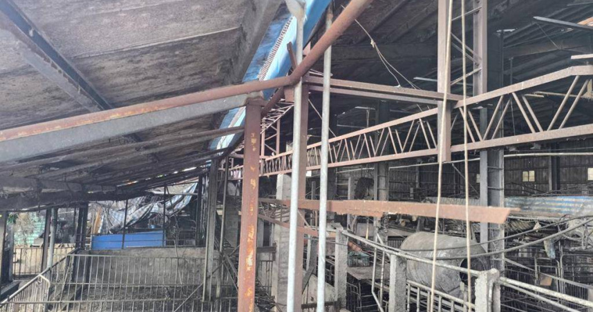圖為台中市一處養豬場爆發非洲豬瘟，該養豬場目前已經淨空，非新聞中所提養豬場。（示意圖，資料照／中國時報記者李京昇攝）