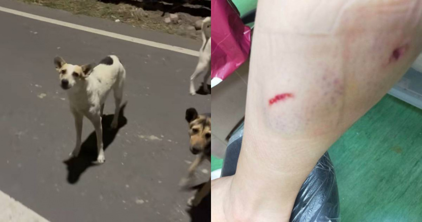 彰化縣一位民眾表示，他女友的家人行經和美鎮某路口時遭10幾隻狗狗追逐，還因此被咬傷小腿。（圖／翻攝自臉書／彰化人大小事）