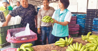 香蕉盛產價跌 高屏政府保價收購助農民