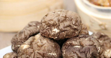 國產香菇。（圖／農糧署提供）