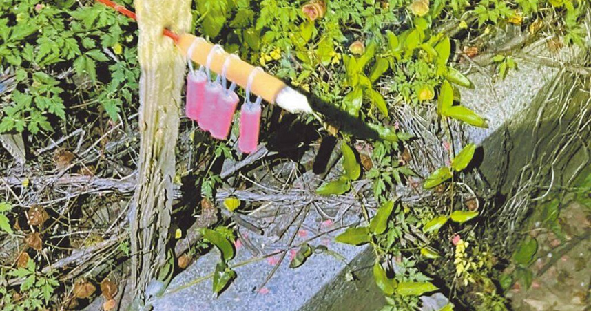 南科周邊農地近日屢有驅鳥裝置在夜間引爆，惹得居民不滿報警控訴妨害安寧。（圖／摘自蓮潭里長陳紫晶臉書粉專／中國時報程炳璋台南傳真）
