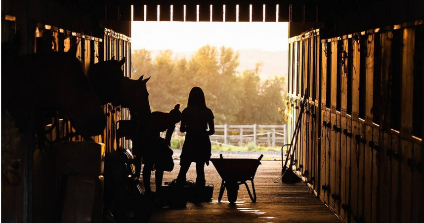 印度一名在騎術學院工作的30歲男子，趁深夜闖入學院的馬廄，並且性侵了其中一匹母馬。（示意圖／翻攝pixabay）