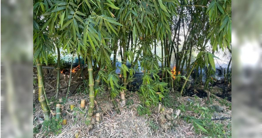 台北市士林區延平北路一處樹林發生火警。（圖／翻攝畫面）