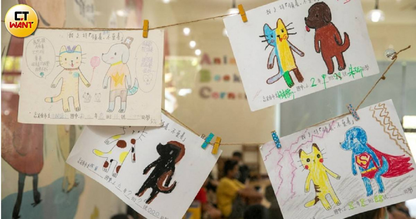 第14屆亞洲動物保護大會甫落幕，這是該會首度移師台灣舉辦，聚焦不少動物保護議題。（示意圖／CTWant攝影組）