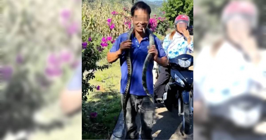 男子將誤認為無毒的烏梢蛇（實為劇毒眼鏡王蛇）掛在脖上把玩，最終不幸遭咬身亡，現場畫面令人震驚。（圖／翻攝自春城晚報）