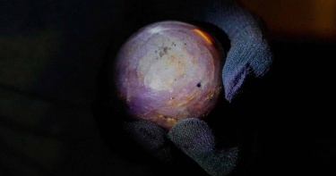 1顆重達3,563克拉的紫色星光藍寶石，日前在斯里蘭卡首都可倫坡（Colombo）公開亮相。（圖／達志／美聯社）