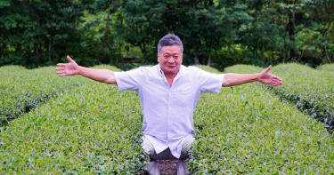 新北比賽茶上線 坪林茶農奪春季茶王