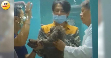 飼主惡夢3/借牌營業誆飼主「雙醫聯合問診媲美台大」 10年密醫人人讚