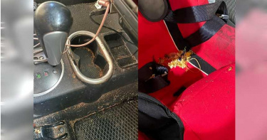 正妹車內「毀滅級髒亂」嚇壞老闆 網酸:是垃圾車吧