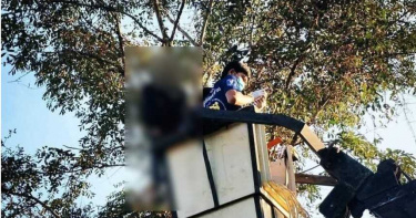 6m高空「漂浮人影」!村民走近一看嚇壞…泰男掛樹上吊輕生