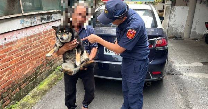 迷路柴犬「饅頭」跳上陌生騎士機車踏板不肯下車，警方憑項圈名牌成功聯繫飼主。（圖／翻攝畫面）