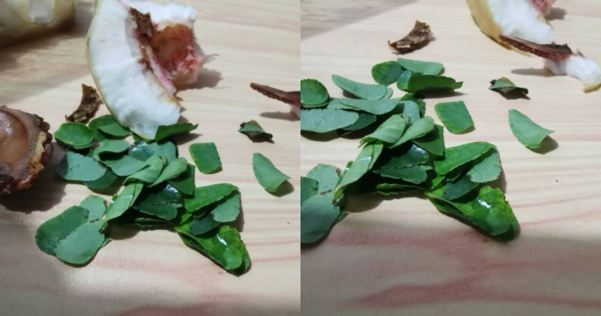 大陸一名網友發現桃子內出現了大量新鮮葉子。（圖／翻攝自小紅書）