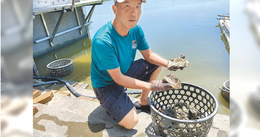 蘆竹溝農漁產業文化永續發展協會理事長邱永仁手上的單體牡蠣養殖，為當地蚵農提高養殖經濟價值。（郭良傑攝）