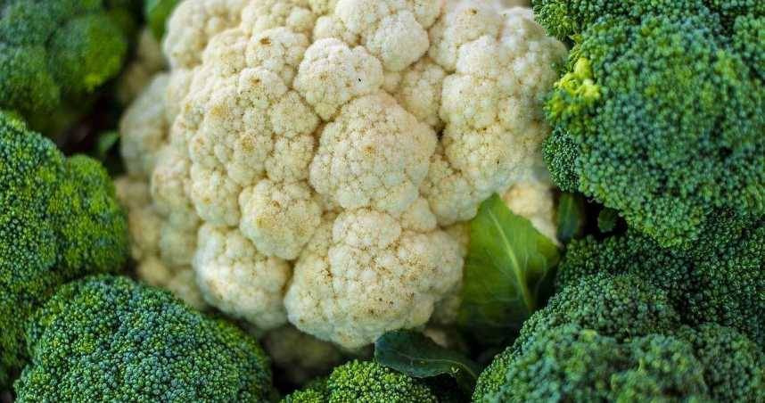 一名男網友透露女友突然被診斷感染HPV（俗稱菜花），陷入信任危機。（示意圖／翻攝自pixabay）