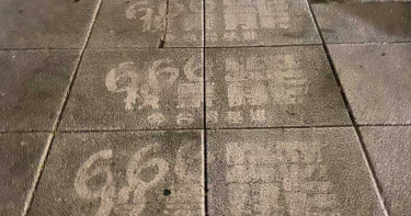 高雄地板被洗出「666投票罷」 台灣基進:期待高雄萬象更新!