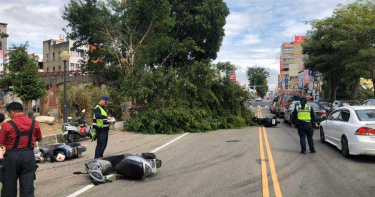 禍從天降 苗栗路樹斷折壓傷下方5男女