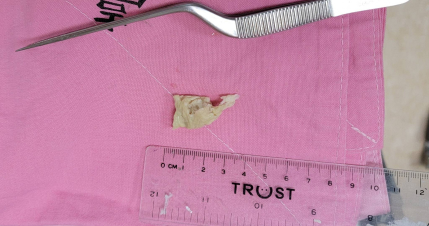 （圖／翻攝自FB）