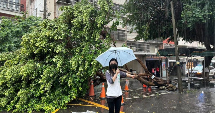 幸福國小前的榕樹倒塌。（圖／陳雅倫臉書）