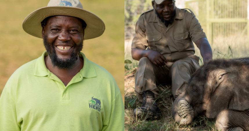 資深照護員尚比拉（Israel Shambira）。（圖／翻攝自FB HERDElephantsSA）