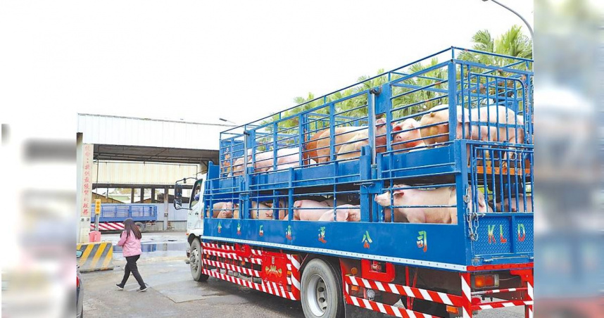 雲林肉品市場4日表示若恢復交易，為避免豬農大量出貨，中央將進行總量管制。（圖／雲林縣政府提供）