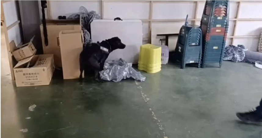 吳姓男子將毒品藏在永康區某鐵皮倉庫角落，警犬雲斯頓發現後在毒品旁坐下，一舉揪出大量K他命。（圖／翻攝畫面）