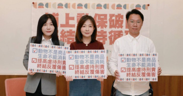 民進黨立委郭昱晴（中）、吳沛憶（左）與苗栗縣議員陳光軒（右）召開記者會，呼籲沒入受虐犬隻。（圖／郭昱晴立委辦公室提供）
