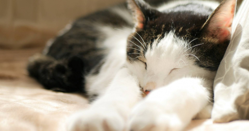 睡眠無法先欠再還。（圖／photoAC）
