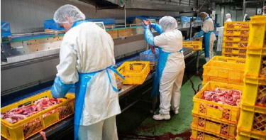 德知名肉品加工廠爆大規模群聚感染! 確診案例超過千人