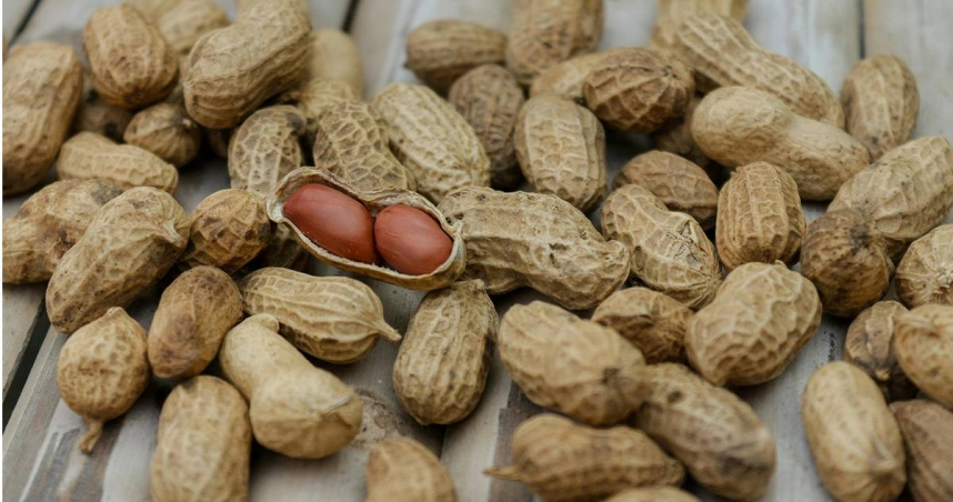 50歲男子戒菸嘴饞吃瓜子、花生，胸部吃到變大。（示意圖／Pexels）