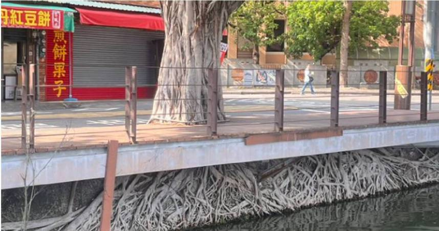 高雄蓮池潭旁一棵50年老樹，因樹根包覆潭底的水泥基柱，與日本動畫大師宮崎駿的名作《天空之城》，劇中天空小島「拉普達」相似。（圖／翻攝自X）