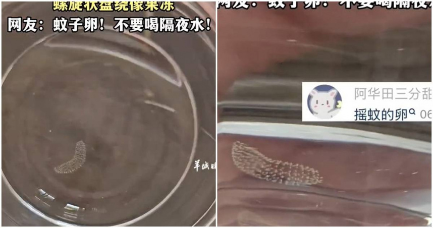 女子喝隔夜水發現有蚊子卵。（圖／翻攝微博）