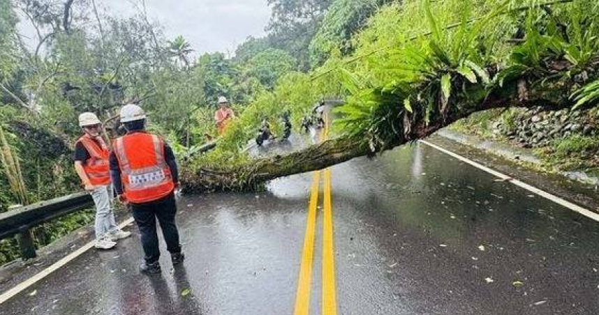 67.8K邊坡巨樹橫倒封路，雙向癱瘓急清理。（圖／翻攝畫面）