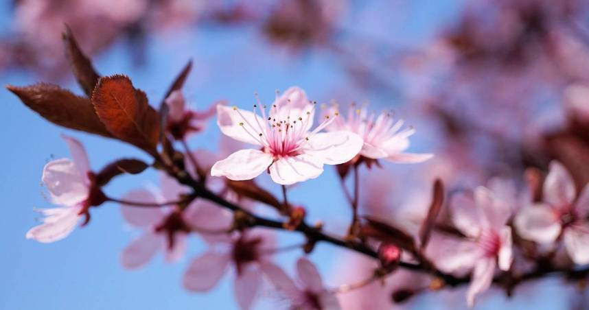 （示意圖／Pixabay）