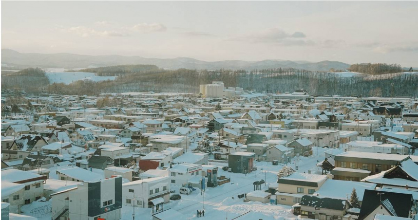 屬於副極地氣候的日本北海道，當地蟑螂似乎有增加的趨勢。（示意圖／翻攝自pexels）