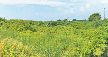 南市府籌設動保教育園區 學甲居民組自救會反對