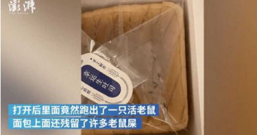 新鮮吐司竄出「活老鼠」 女嚇到尖叫…網友傻眼:不敢吃吐司了