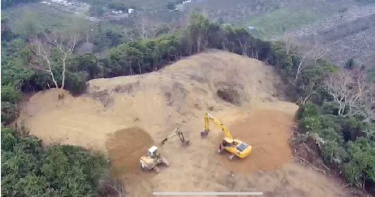 屏東版亞泥1/財團合扛環保旗幟毀山林 搶種光電埋人禍風險