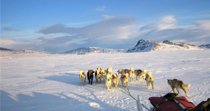 地表獨一無二的軍方雪橇犬巡邏隊格陵蘭「天狼星巡邏隊」，是由丹麥國防司令部於1950年成立的特種作戰部隊。（圖／路透社）