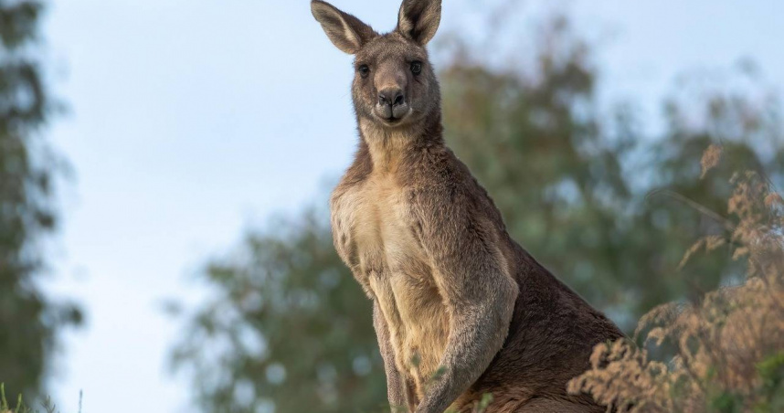 （示意圖／pixabay）