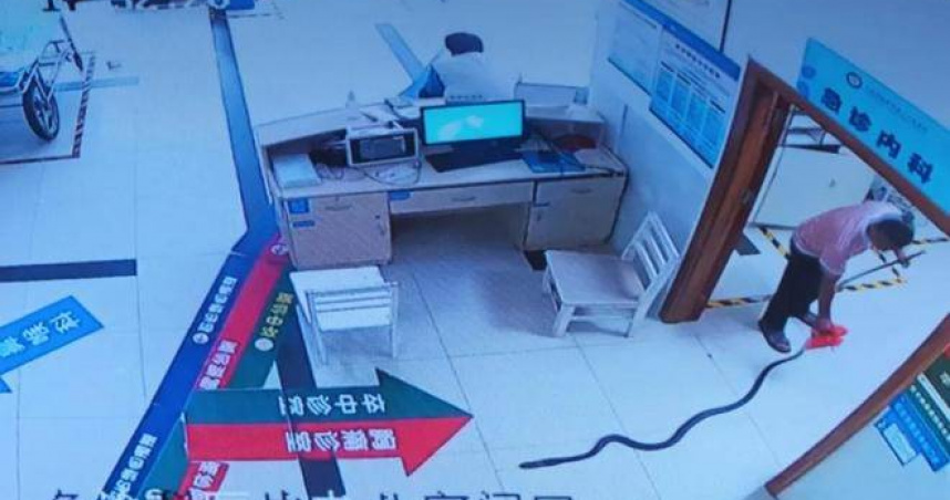 雲南一名78歲老人遭眼鏡王蛇咬傷，家屬拖著蛇屍體衝進醫院求助，現場畫面引發關注。（圖／澎湃新聞）