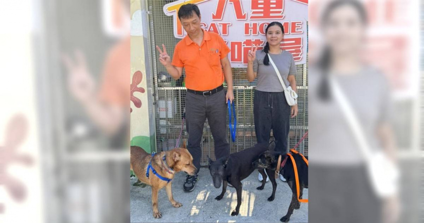 八里「三兄妹」幸運地被同一主人認養。（圖／新北市動保處提供）