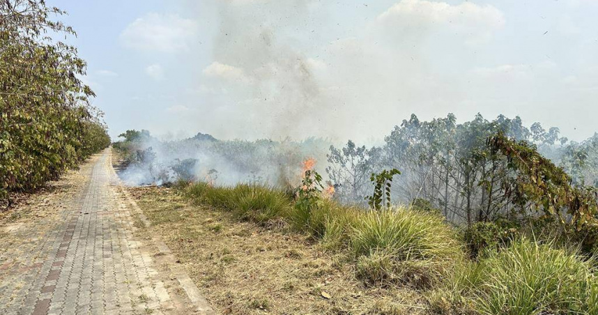 高雄大寮2天連9起雜草縱火嫌落網　46歲男稱「失業發洩情緒」