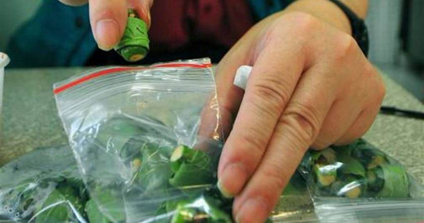 男子長期食用檳榔，導致血鈣過高與腎功能惡化。（圖／報系資料照）