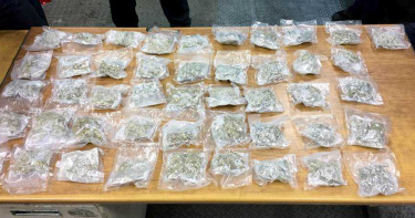 緝毒犬一聞竟坐下不動 揪出郵寄包裹暗藏450萬元大麻花