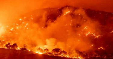 加州又有森林大火!今年逾6500平方英里土地燒焦、至少31死
