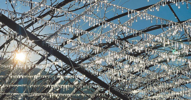 武陵農場於29日清晨出現0.1度低溫，農場人員打開澆灌系統噴水以防澆灌管線結冰，噴水灑下藤花園棚架形成冰晶簾美景，讓遊客驚喜直呼「獨一無二」。（圖／武陵農場提供／中國時報張妍溱台中傳真）