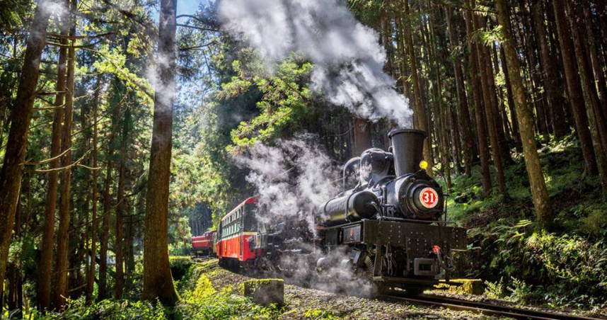 阿管處力推阿里山觀光，圖為阿里山林鐵蒸汽火車行駛林間的美景。（圖／阿管處提供）