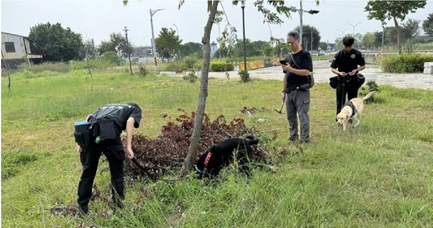 毒販將毒品埋在重劃區公園地下，仍被警犬嗅出查獲，搜出共達2公斤的大麻。（圖／翻攝畫面）